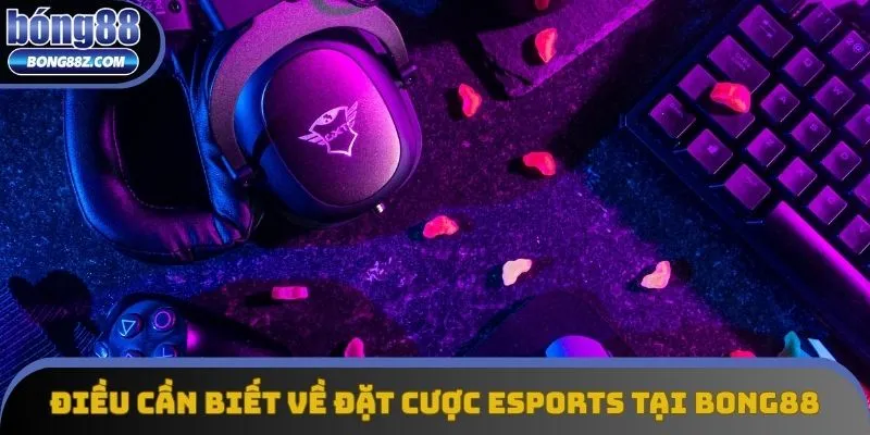 Những điều cần biết về đặt cược Esports tại Bong88
