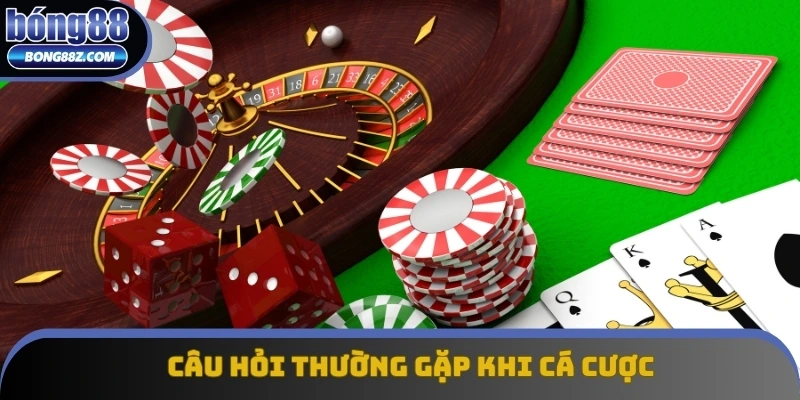 Giải đáp câu hỏi thường gặp của khách hàng khi trải nghiệm cá cược